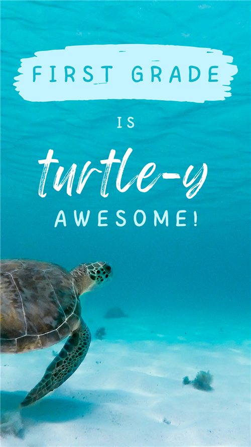First Grade is turtle-y awesome!